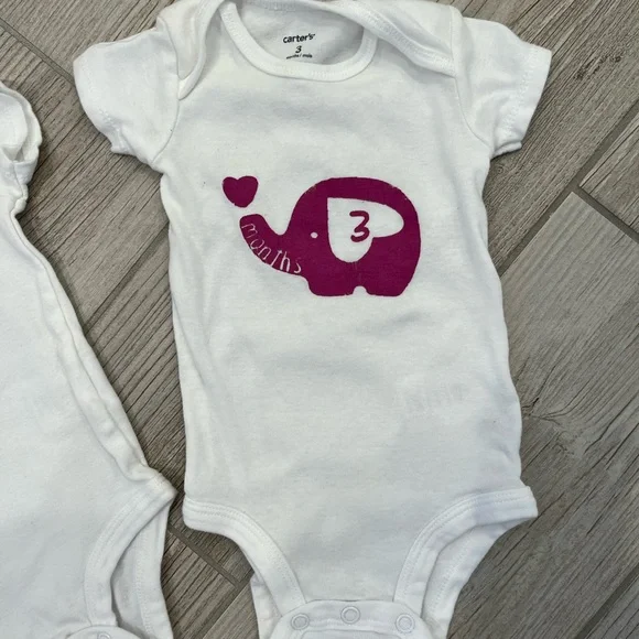 Baby elephant milestone onesies hand painted months 1-9